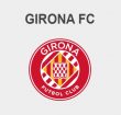 ico_GFC
